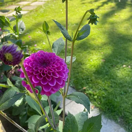 Cozy Summer On Picturesque Asko